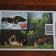 Puzzle edukacyjne   *11