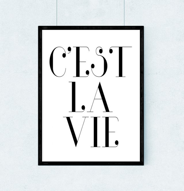 Plakat c'est la vie - A3