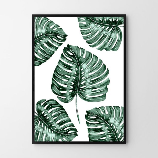 PLAKAT MONSTERA  50x70 cm B2