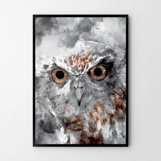 Plakat obraz sowa A3