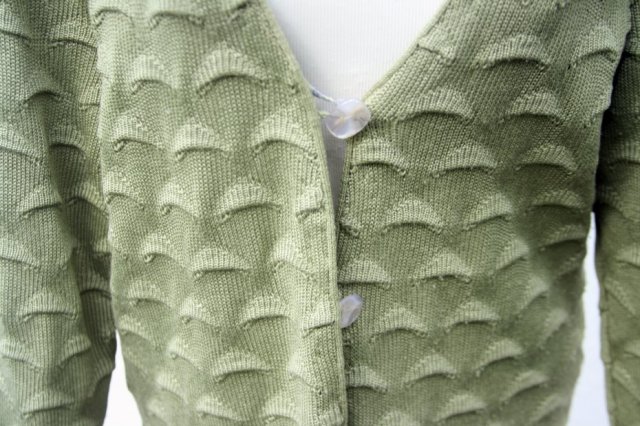 SWETER KIWI