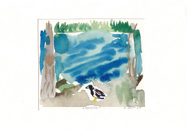 Ilustracja Kaczka oryginał