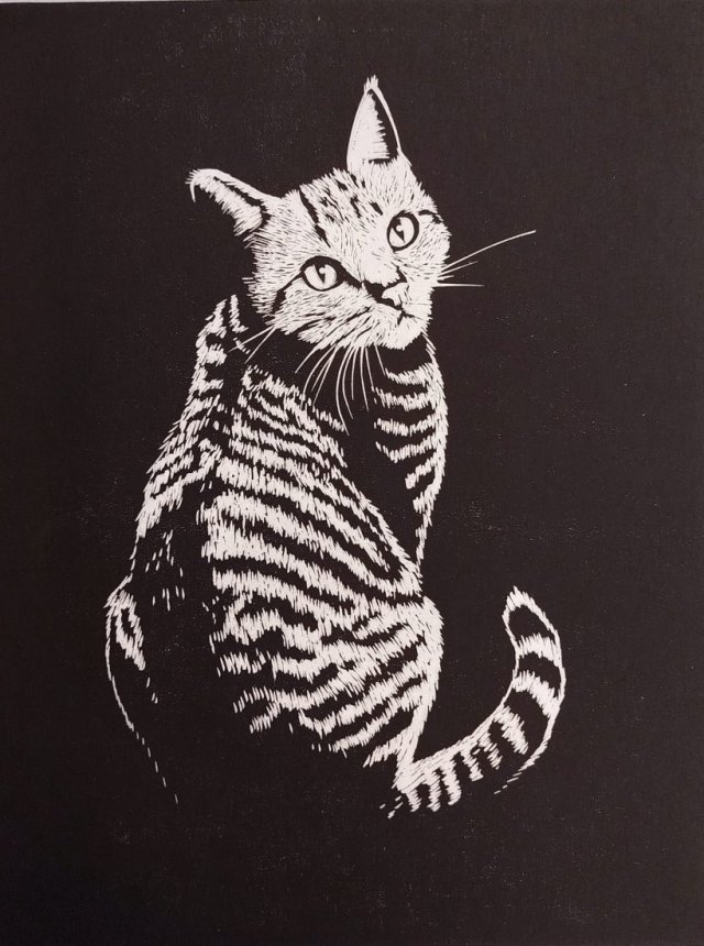 Kot - oprawione passe-partout - Linoryt, ilustracja, grafika, obrazek, obraz, sztuka, plakat, dekoracje