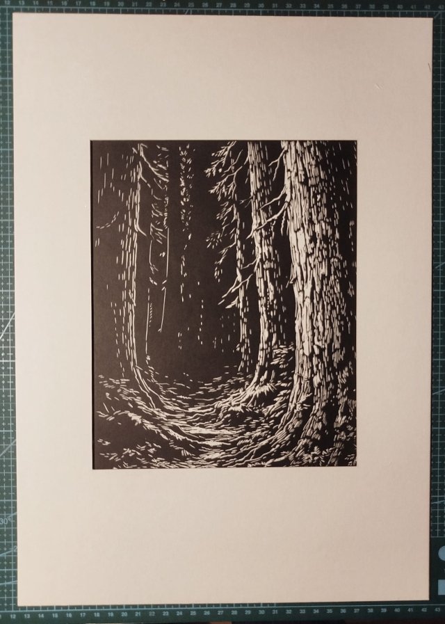 Las, Bór, Drzewa - oprawione passe-partout + ramka - Linoryt, ilustracja, grafika, obrazek, obraz, sztuka, plakat, dekoracje,
