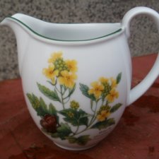 Royal Worcester herbs 1990