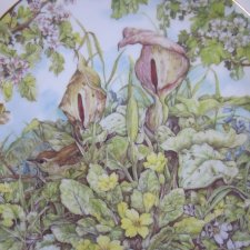 Royal GRAFTON - Sue WYATT -  uroczo botaniczny  -kolekcjonerski,   użytkowy  I dekoracyjny talerz porcelanowy