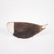 Wieloryb