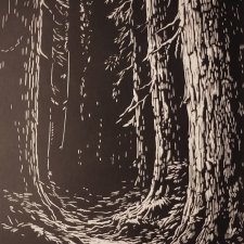 Las, Bór, Drzewa - Linoryt, ilustracja, grafika, obrazek, obraz, sztuka, plakat, dekoracje