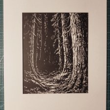 Las, Bór, Drzewa - oprawione passe-partout + ramka - Linoryt, ilustracja, grafika, obrazek, obraz, sztuka, plakat, dekoracje,
